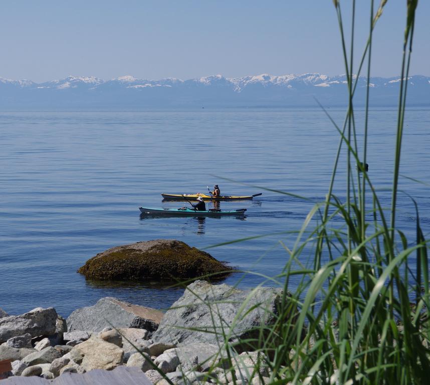 Blitz Beach House Oceanside Suite Powell River Zewnętrze zdjęcie
