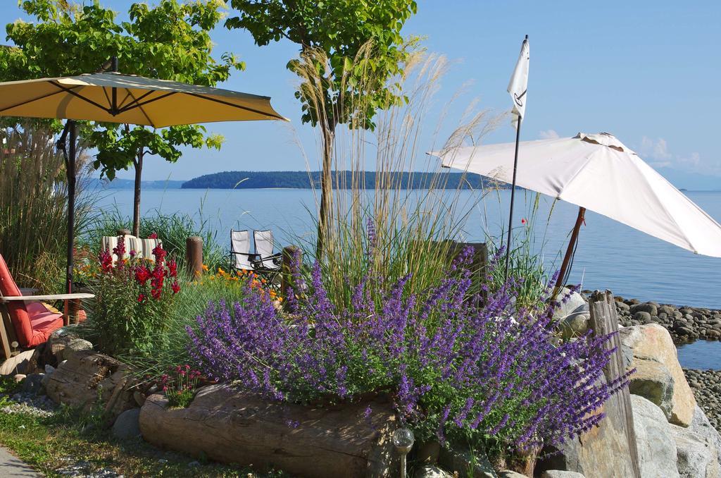 Blitz Beach House Oceanside Suite Powell River Zewnętrze zdjęcie