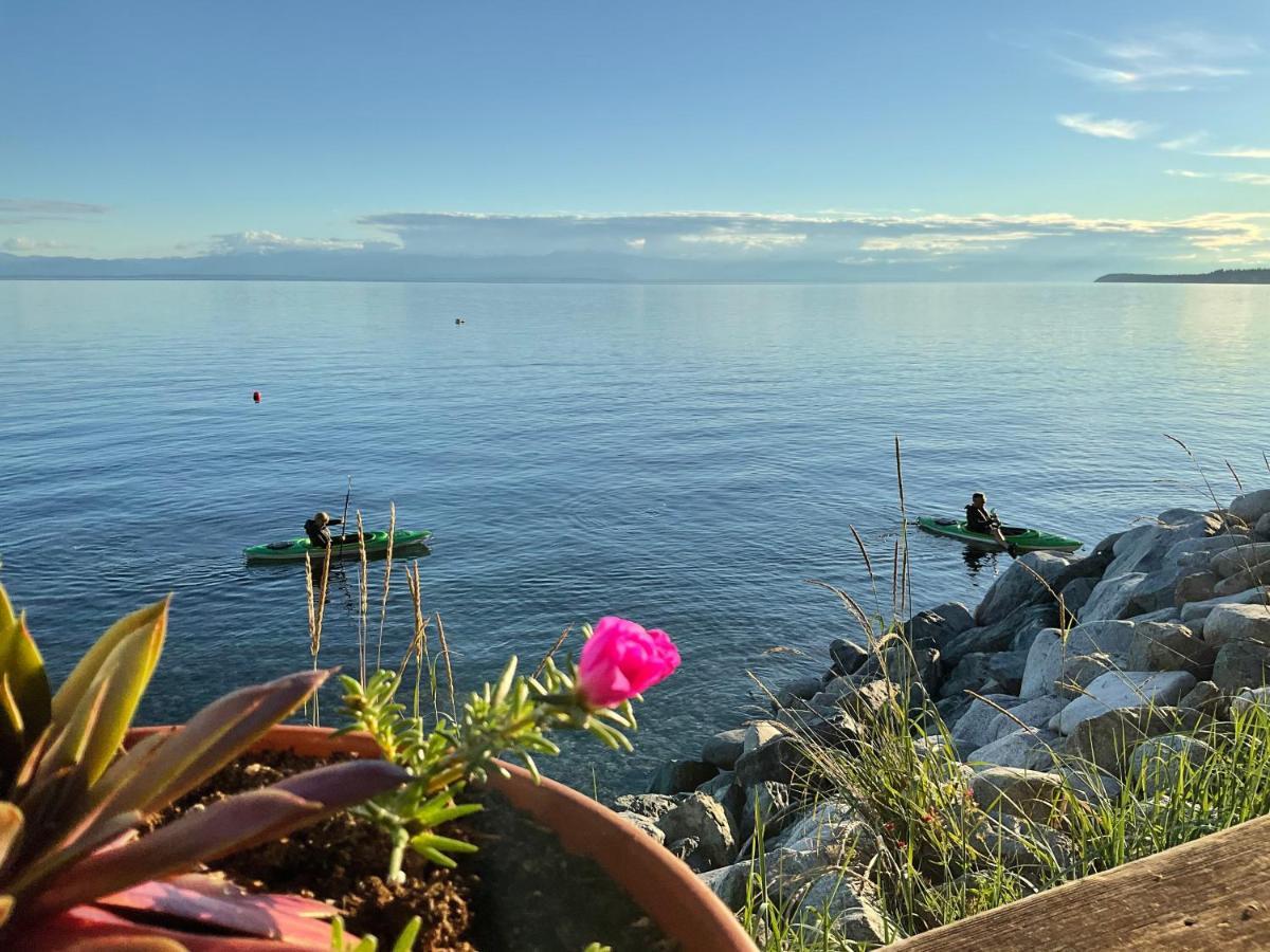 Blitz Beach House Oceanside Suite Powell River Zewnętrze zdjęcie