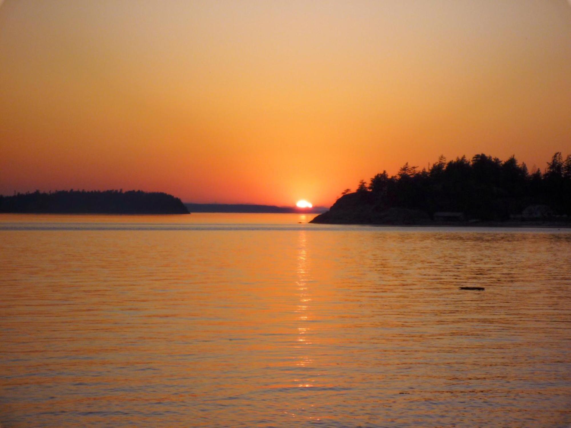 Blitz Beach House Oceanside Suite Powell River Zewnętrze zdjęcie