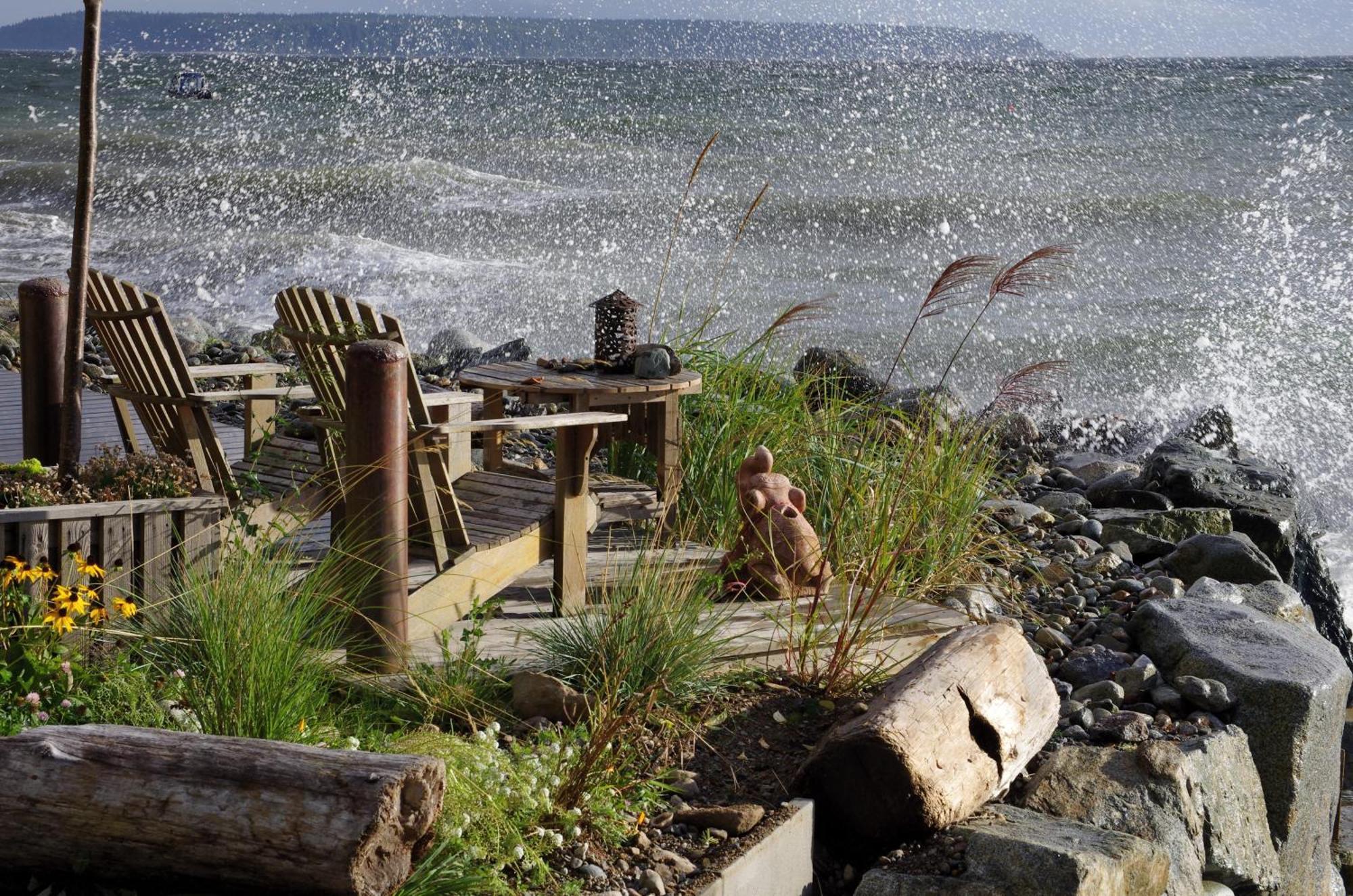Blitz Beach House Oceanside Suite Powell River Zewnętrze zdjęcie