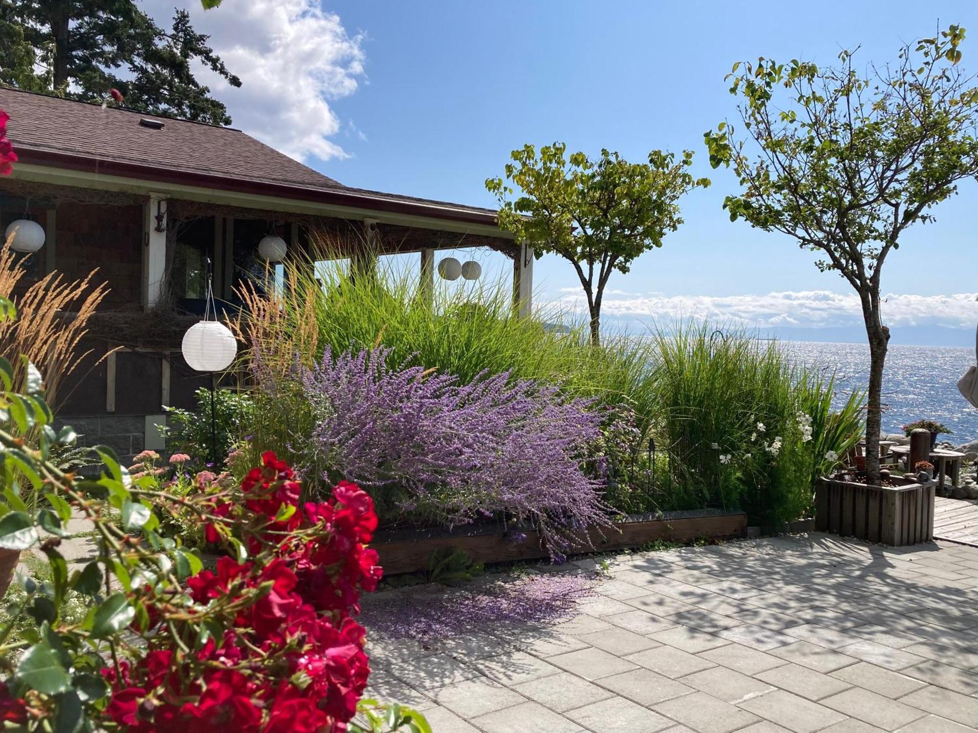 Blitz Beach House Oceanside Suite Powell River Zewnętrze zdjęcie