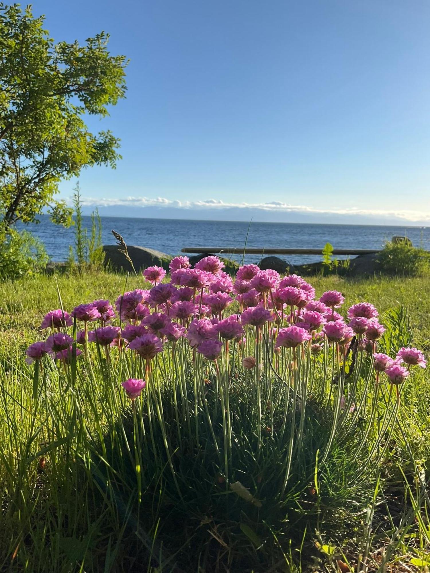 Blitz Beach House Oceanside Suite Powell River Zewnętrze zdjęcie