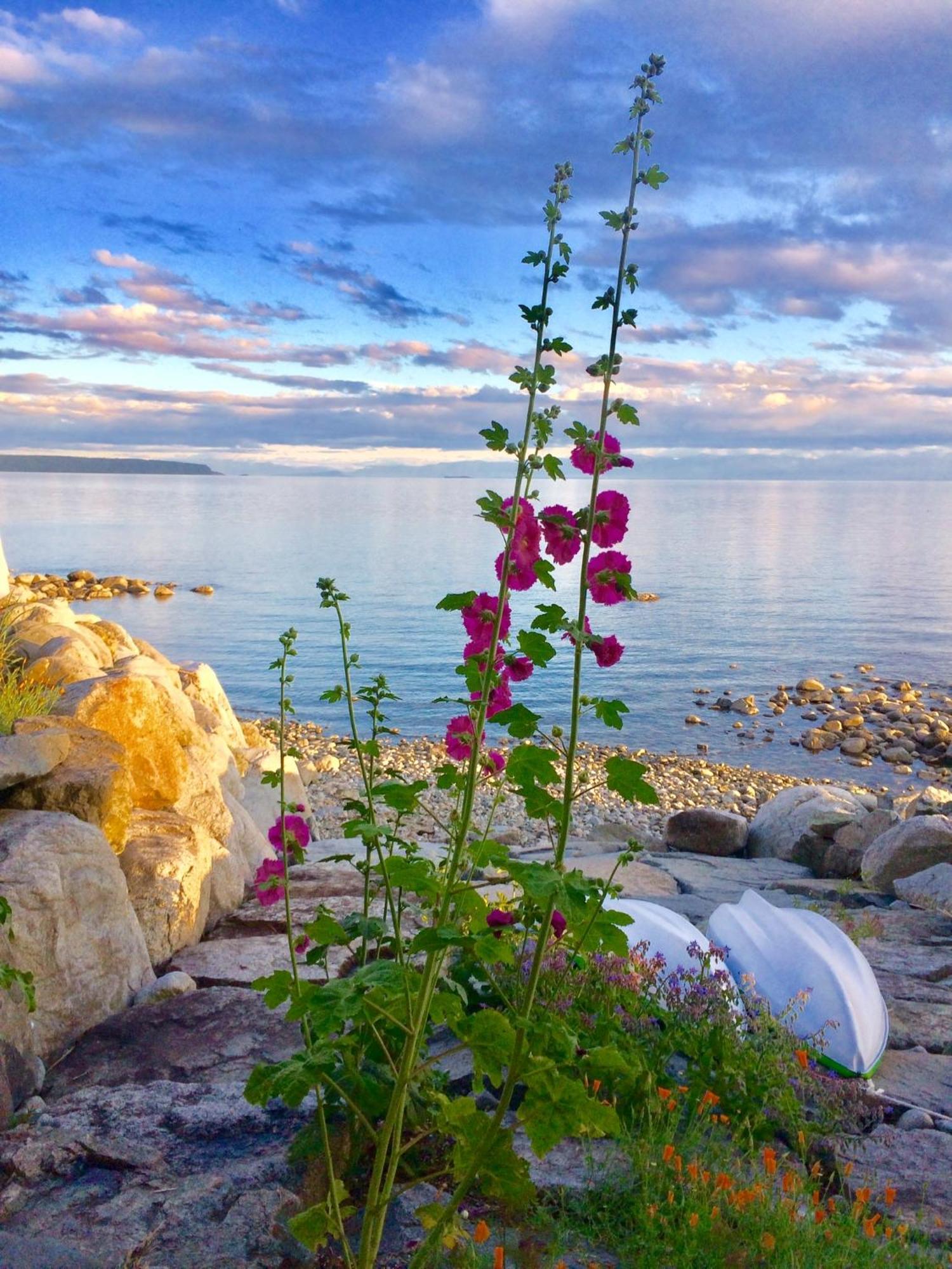 Blitz Beach House Oceanside Suite Powell River Zewnętrze zdjęcie